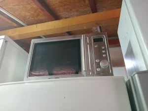 Mikrotalasna bez tanjira