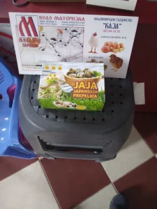 Pilici japanske prepelice