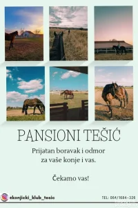 Pansion za konje Tešić