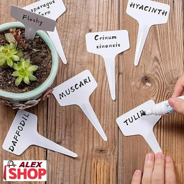 Set etiketa 60 komada za obeležavanje biljaka