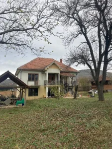 Seosko imanje i zasad Borovnice