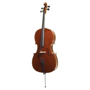 Stentor SR1590 Cello Messina 4/4 Violončelo