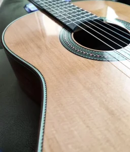 Esteve Manuel Adalid koncertna