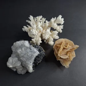 Galenit kvarc - Koral