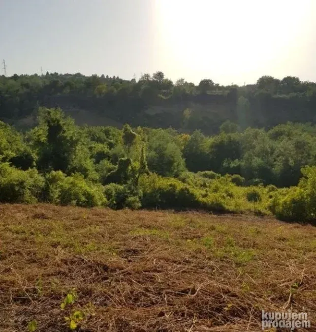 Plac na Popovici! 1604m2