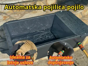 pojilica pojilo automatska