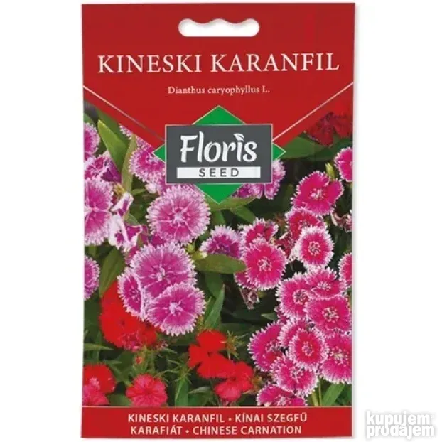 Cveće Kineski karanfil seme 0.3g - 10kom. FLORIS