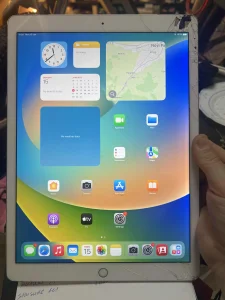 ipad pro 12.9 inch 1 gen
