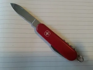 Wenger Delemont Classic 63