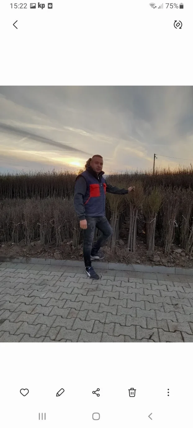 Sadnice voca i loznog kalema povoljna cena