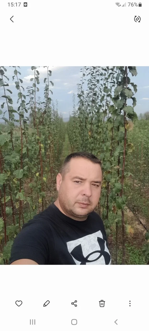 Sadnice voca i loznog kalema povoljna cena