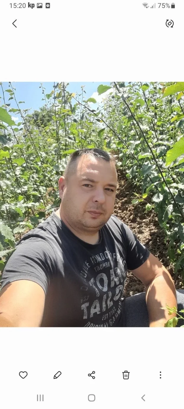 Sadnice voca i loznog kalema povoljna cena