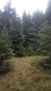 Plac TARA selo Sekulici(ljuto polje)