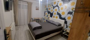 Stan na dan apartman Užice