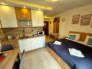 Stefana Prvovenčanog, Kopaonik, Čajetinska česma, 0.5 garsonjera, 26 m²