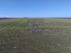 Srbobran Zemljište poljoprivredno 27.138m2!