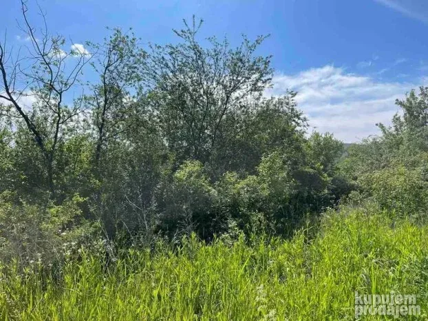 Sremska Kamenica, plac, 3558m2!