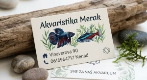 Akvaristika "Merak" Nis , ponuda ribica i biljaka