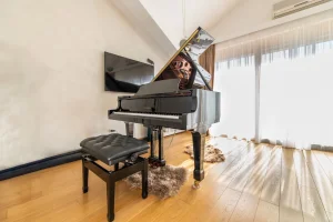 Feurich Grand Piano 218 - Klavir D Model