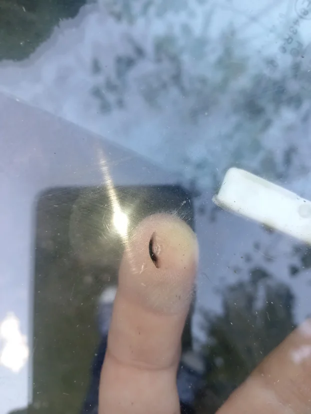 Fiat uno 2, šoferke prednja zadnjai stakla vrata