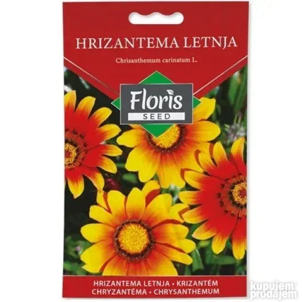 Cveće Hrizantema letnja seme 1g - 10kom. FLORIS