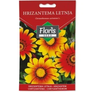 Cveće Hrizantema letnja seme 1g - 10kom. FLORIS