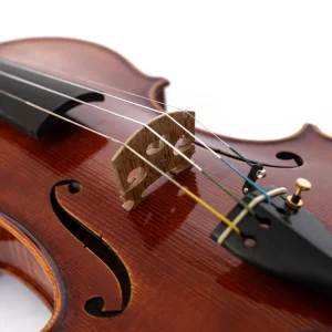 Violina Gibaloff Cannone Guarnerius Del Gesu 1743