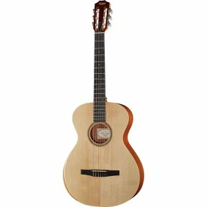 Taylor Academy Series 12e-N Klasična Gitara