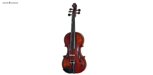 Roth & Junius Acoustic-Electric Violin 5-str