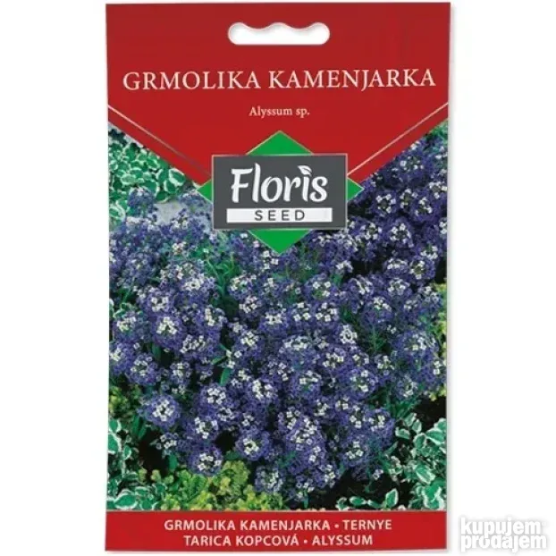 Cveće Grmolika kamenjarka seme 0.5g - 10kom. FLORIS