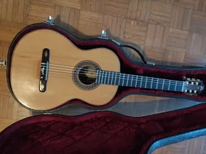 klasicna majstorska gitara paolo polmonari