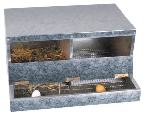 Gnezdo za kokoške - duplo