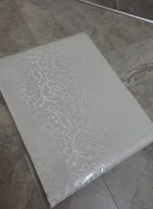 stonjaci