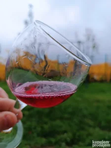 Roze vino( Merlot)