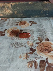 Renault  Clio 2 Zmigavac