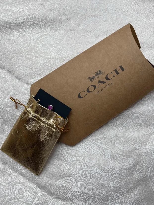 Srebrne mindjuse COACH