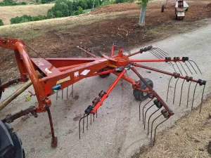 Kun KuHN balerina sakupljac sena 9 ruku