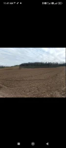 Beočin, Lug, 68.7 ar