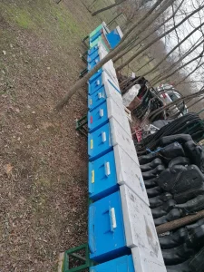 Kosnice sa Pcelom