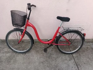 Maxi poni 24 cola