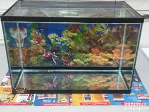 AKVARIJUM za ribice