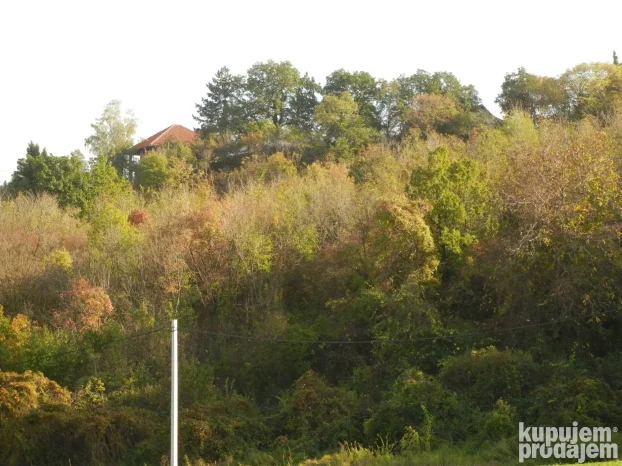 12600 m2 u komadu između Sremskih Karlovaca i Čortanovaca
