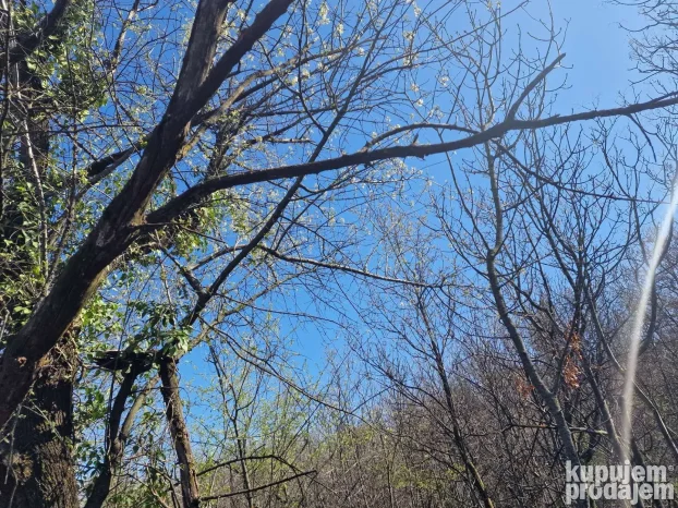 12600 m2 u komadu između Sremskih Karlovaca i Čortanovaca