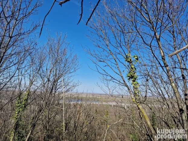 12600 m2 u komadu između Sremskih Karlovaca i Čortanovaca