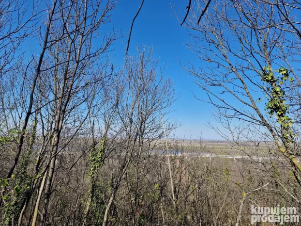 12600 m2 u komadu između Sremskih Karlovaca i Čortanovaca