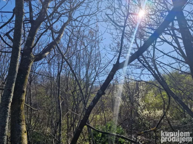 12600 m2 u komadu između Sremskih Karlovaca i Čortanovaca