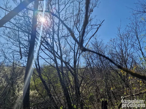 12600 m2 u komadu između Sremskih Karlovaca i Čortanovaca