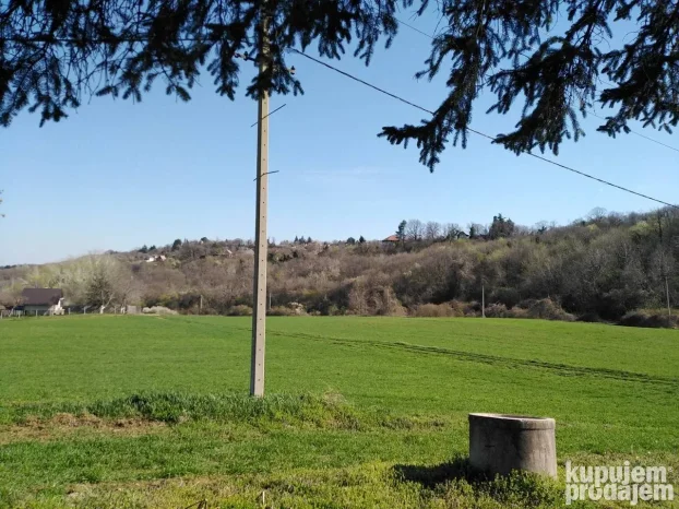 12600 m2 u komadu između Sremskih Karlovaca i Čortanovaca