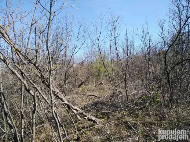12600 m2 u komadu između Sremskih Karlovaca i Čortanovaca