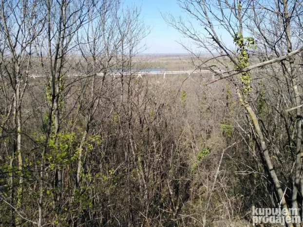 12600 m2 u komadu između Sremskih Karlovaca i Čortanovaca